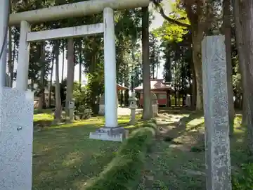 金井神社の鳥居