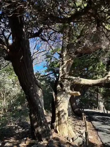 大瀬神社の{uncategorized: "未分類", other: "その他", undefined: "問題あり", building: "その他建物", grave: "お墓", sacred_gate: "鳥居", guardian: "狛犬", statue: "像", buddha: "仏像", history: "歴史", nature: "自然", garden: "庭園", animal: "動物", pagoda: "塔", temizu: "手水舎", mountain_gate: "山門・神門", sanctuary: "本殿・本堂", subordinate: "末社・摂社", art: "芸術", scenery: "景色", jizo: "地蔵", ema: "絵馬", goshuin: "御朱印", omikuji: "おみくじ", items: "授与品その他", amulet: "お守り", goshuincho: "御朱印帳", eats: "食事", festival: "お祭り", votive_dance: "神楽", shichigosan: "七五三参", wedding: "結婚式", experience: "体験その他", initially: "初詣", around: "周辺", anti_infection: "感染症対策"}