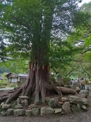 いそ部神社(兵庫県)