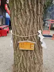 田無神社の自然