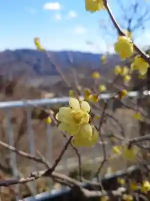 宝登山神社奥宮(埼玉県)