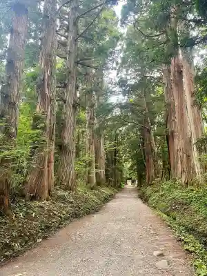 戸隠神社奥社の{uncategorized: "未分類", other: "その他", undefined: "問題あり", building: "その他建物", grave: "お墓", sacred_gate: "鳥居", guardian: "狛犬", statue: "像", buddha: "仏像", history: "歴史", nature: "自然", garden: "庭園", animal: "動物", pagoda: "塔", temizu: "手水舎", mountain_gate: "山門・神門", sanctuary: "本殿・本堂", subordinate: "末社・摂社", art: "芸術", scenery: "景色", jizo: "地蔵", ema: "絵馬", goshuin: "御朱印", omikuji: "おみくじ", items: "授与品その他", amulet: "お守り", goshuincho: "御朱印帳", eats: "食事", festival: "お祭り", votive_dance: "神楽", shichigosan: "七五三参", wedding: "結婚式", experience: "体験その他", initially: "初詣", around: "周辺", anti_infection: "感染症対策"}