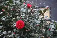 晴門田神社の庭園