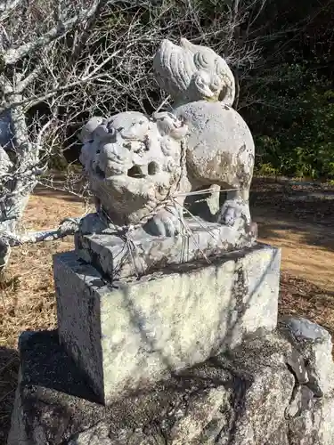 菅神社（船井天満宮）の狛犬