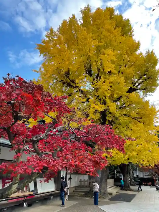 清荒神清澄寺の自然