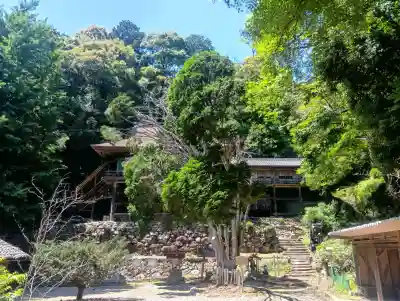 日龍峯寺(高澤観音)(美濃清水)(岐阜県)