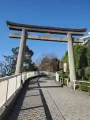 赤羽八幡神社の鳥居