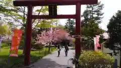 多賀神社(北海道)