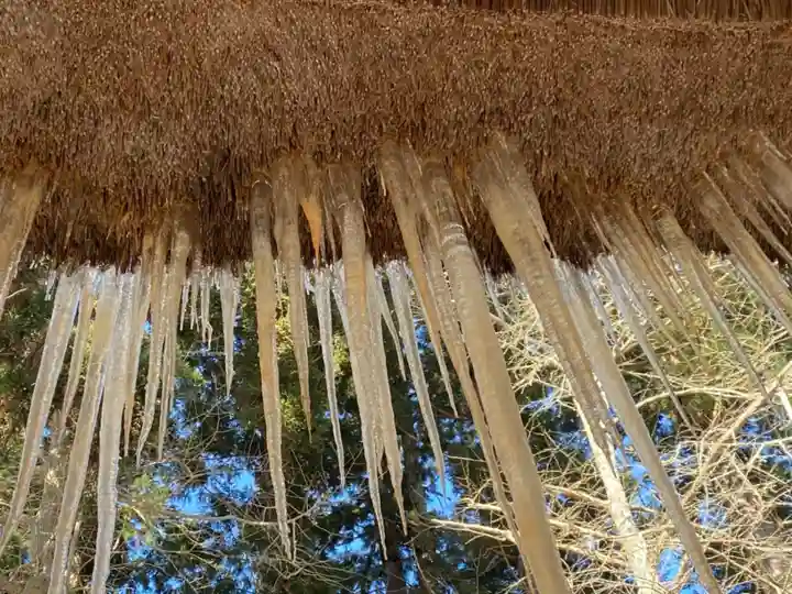 新宮熊野神社の自然
