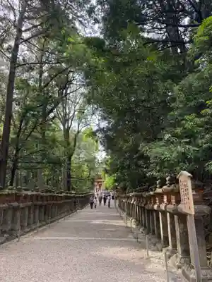 春日大社(奈良県)