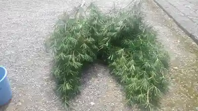 正暦寺(京都府)