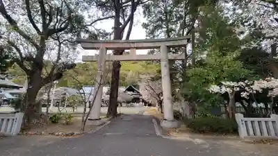 愛媛縣護國神社(愛媛県)