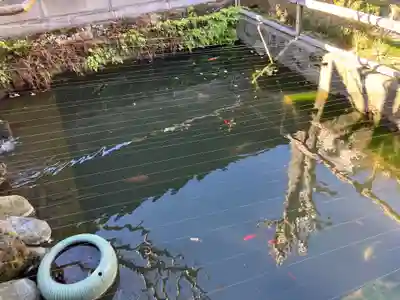 無量寺(神奈川県)