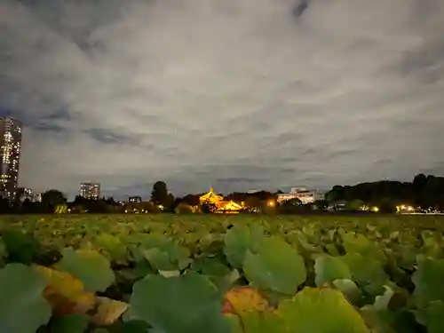 寛永寺不忍池弁天堂の景色