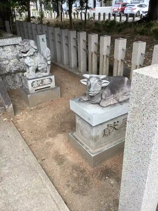 八幡社(柏井町)の狛犬