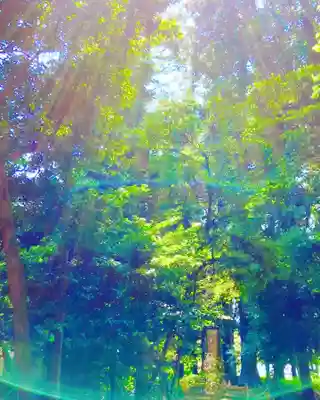 下野 星宮神社(栃木県)