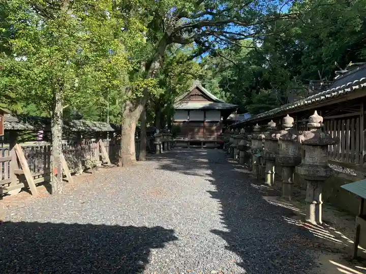 闘鶏神社の本殿・本堂