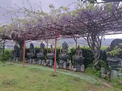 大光院(大分県)