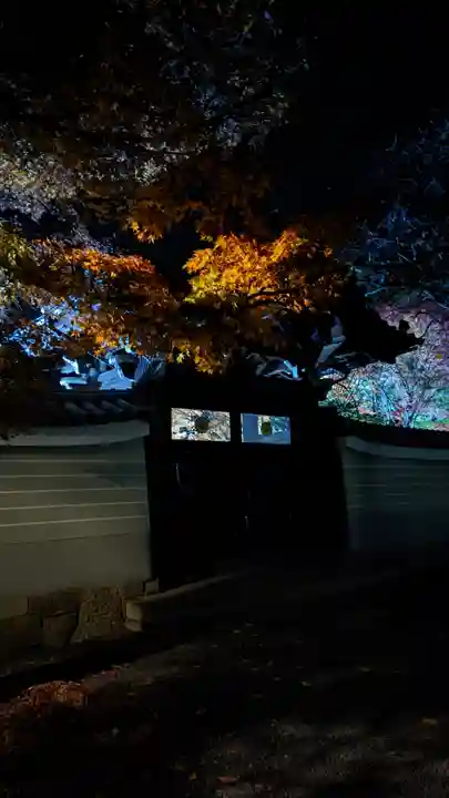 妙顯寺(妙顕寺)(京都府)