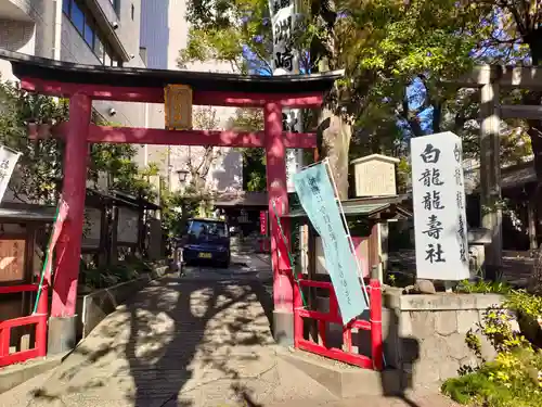 洲嵜神社の鳥居