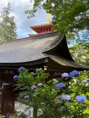 高幡不動尊　金剛寺(東京都)