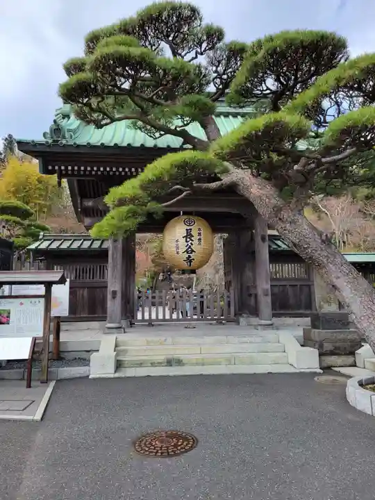 長谷寺の山門・神門