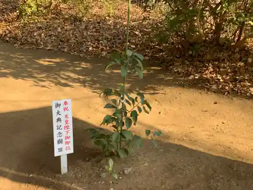 長尾神社の庭園