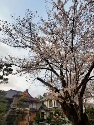 如宝寺(福島県)
