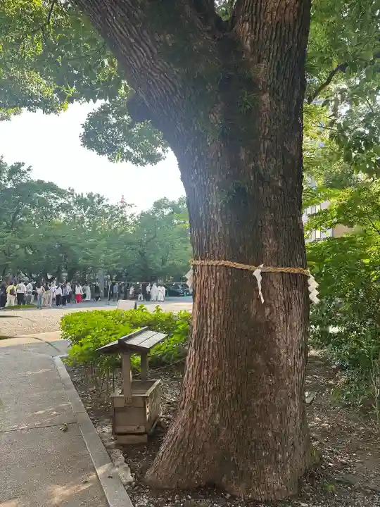 若宮八幡社(愛知県)