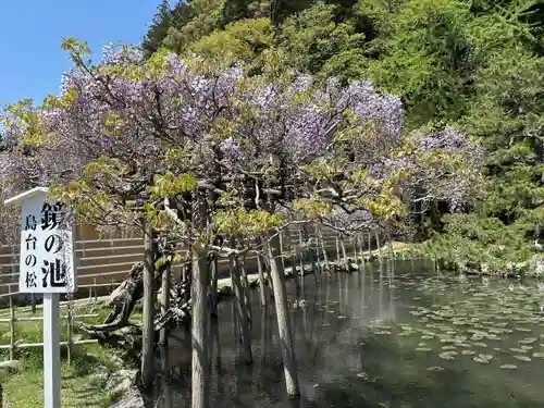 出雲大社神楽殿(島根県)