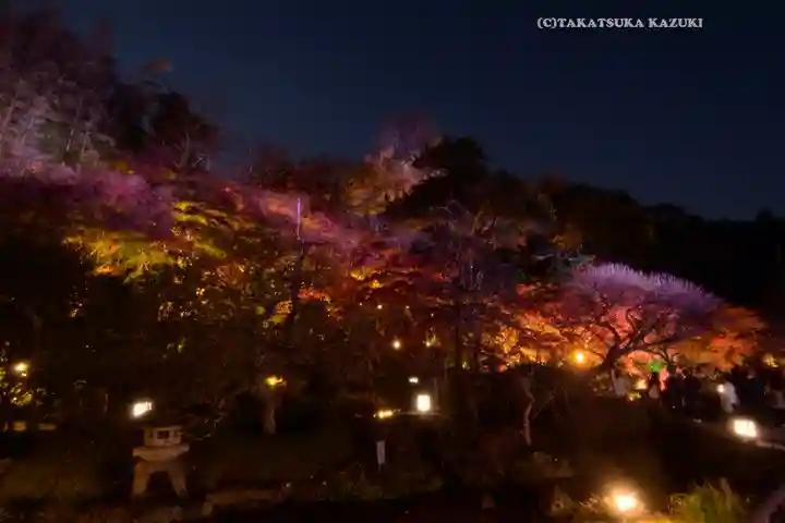 長谷寺(神奈川県)