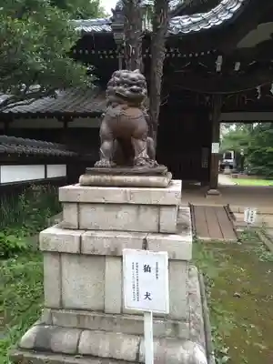 観音寺（世田谷山観音寺）の狛犬