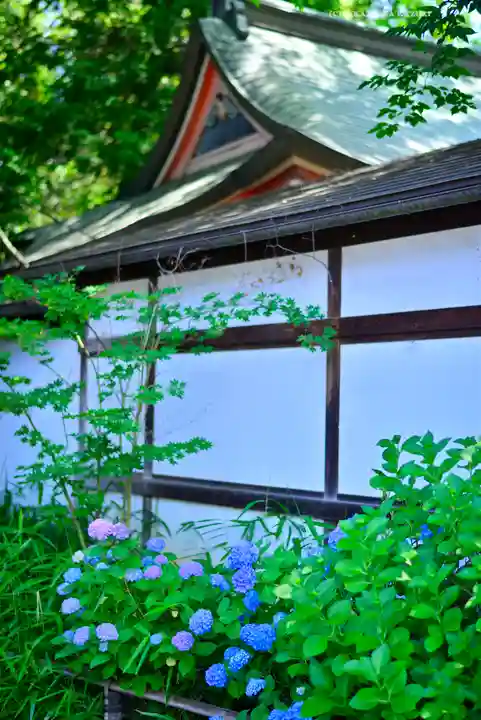 川越氷川神社(埼玉県)