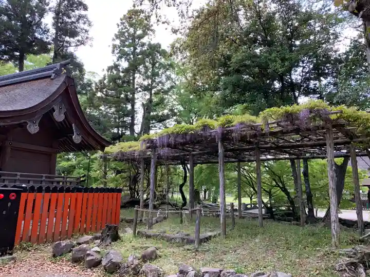 賀茂別雷神社(上賀茂神社)(京都府)
