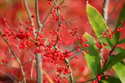 豊景神社(福島県)