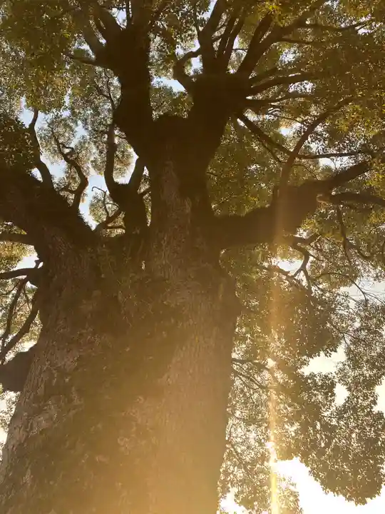 西大寺(岡山県)