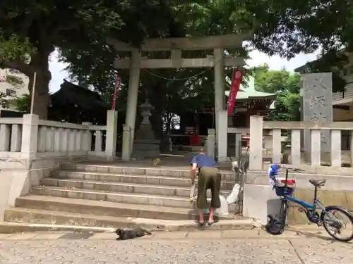 小金八坂神社の鳥居