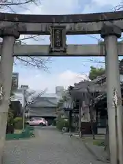 常葉神社の鳥居