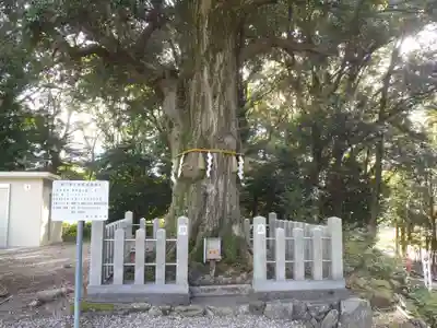 石作神社(愛知県)