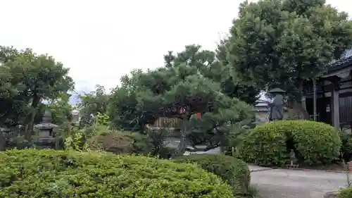 海禅寺の自然