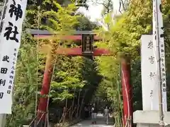 來宮神社の鳥居