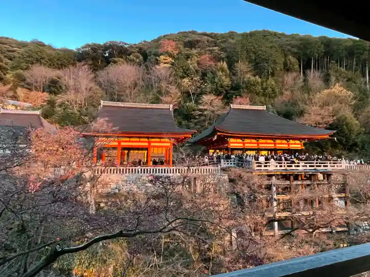 清水寺の{uncategorized: "未分類", other: "その他", undefined: "問題あり", building: "その他建物", grave: "お墓", sacred_gate: "鳥居", guardian: "狛犬", statue: "像", buddha: "仏像", history: "歴史", nature: "自然", garden: "庭園", animal: "動物", pagoda: "塔", temizu: "手水舎", mountain_gate: "山門・神門", sanctuary: "本殿・本堂", subordinate: "末社・摂社", art: "芸術", scenery: "景色", jizo: "地蔵", ema: "絵馬", goshuin: "御朱印", omikuji: "おみくじ", items: "授与品その他", amulet: "お守り", goshuincho: "御朱印帳", eats: "食事", festival: "お祭り", votive_dance: "神楽", shichigosan: "七五三参", wedding: "結婚式", experience: "体験その他", initially: "初詣", around: "周辺", anti_infection: "感染症対策"}
