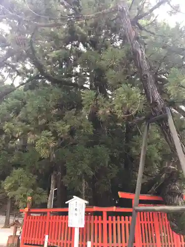 香椎宮の自然