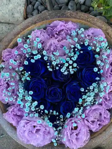 彌都加伎神社の手水舎