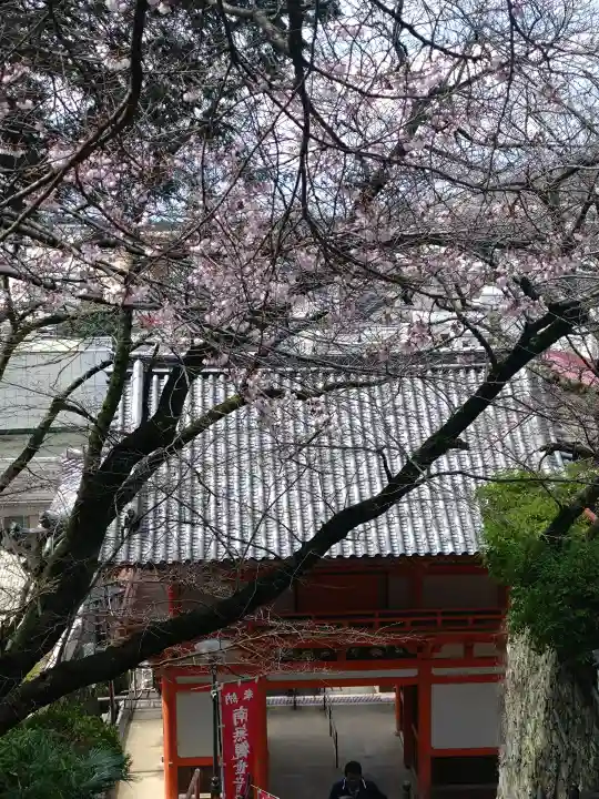 金剛宝寺(紀三井寺)の{uncategorized: "未分類", other: "その他", undefined: "問題あり", building: "その他建物", grave: "お墓", sacred_gate: "鳥居", guardian: "狛犬", statue: "像", buddha: "仏像", history: "歴史", nature: "自然", garden: "庭園", animal: "動物", pagoda: "塔", temizu: "手水舎", mountain_gate: "山門・神門", sanctuary: "本殿・本堂", subordinate: "末社・摂社", art: "芸術", scenery: "景色", jizo: "地蔵", ema: "絵馬", goshuin: "御朱印", omikuji: "おみくじ", items: "授与品その他", amulet: "お守り", goshuincho: "御朱印帳", eats: "食事", festival: "お祭り", votive_dance: "神楽", shichigosan: "七五三参", wedding: "結婚式", experience: "体験その他", initially: "初詣", around: "周辺", anti_infection: "感染症対策"}