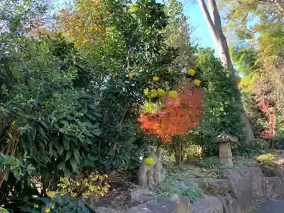 龍興寺のその他建物