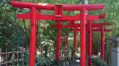 白笹稲荷神社の鳥居