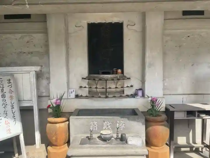 善願寺(栃木県)