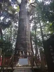 麻賀多神社の自然