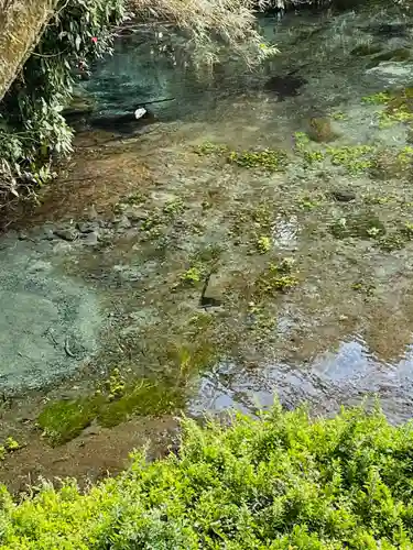 貴船神社の自然
